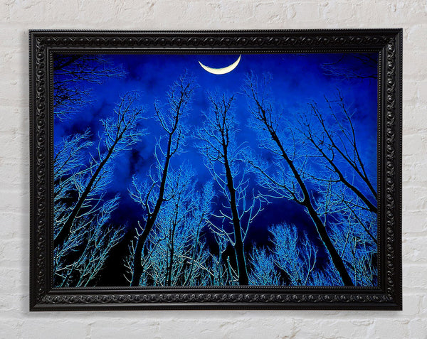 Forest By Moonlight Framed Print