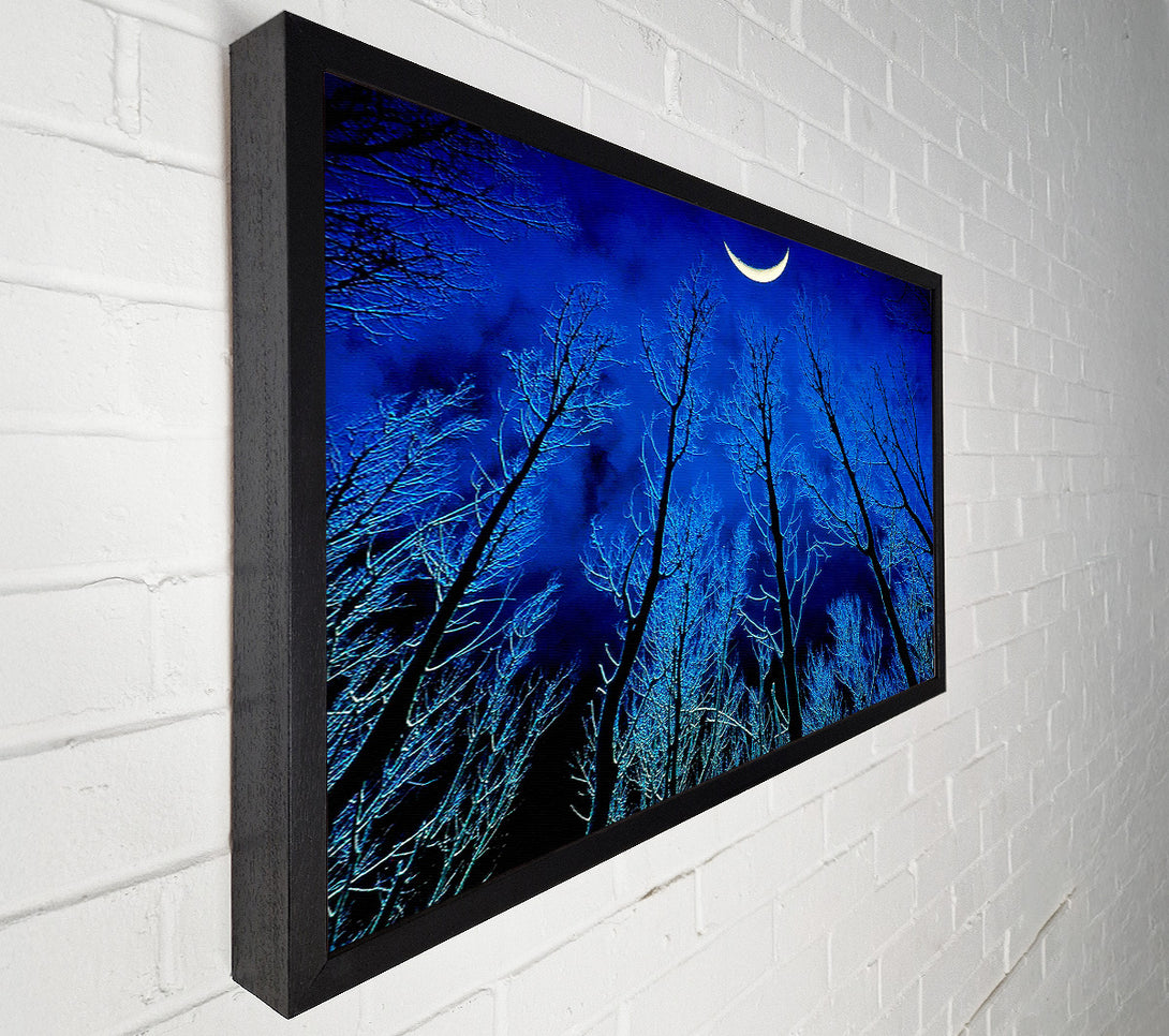  A Canvas Print of Forest By Moonlight Canvas Print