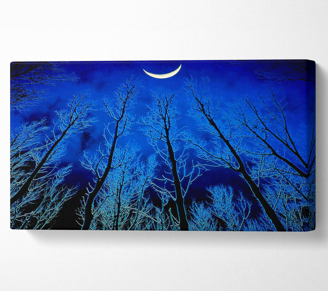  A Canvas Print of Forest By Moonlight Canvas Print