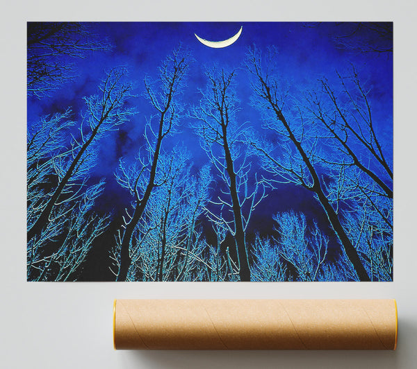 Forest By Moonlight Print