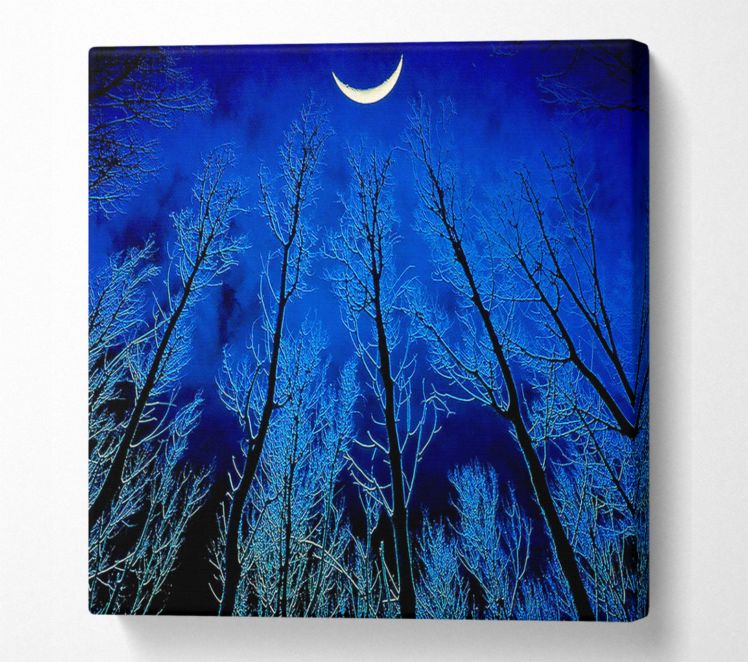  A Canvas Print of Forest By Moonlight Canvas Print