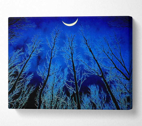  A Canvas Print of Forest By Moonlight Canvas Print