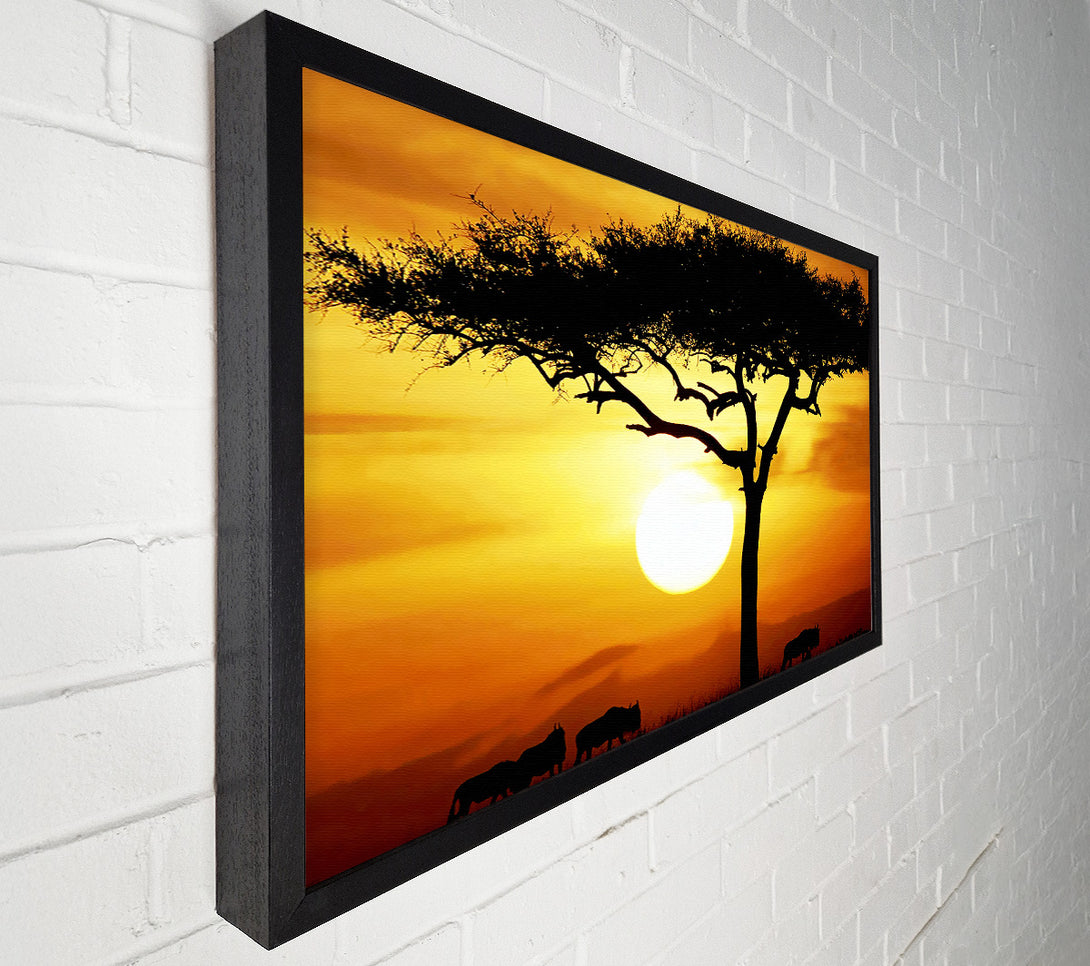  A Canvas Print of African Safari Tree In Sunlight Canvas Print