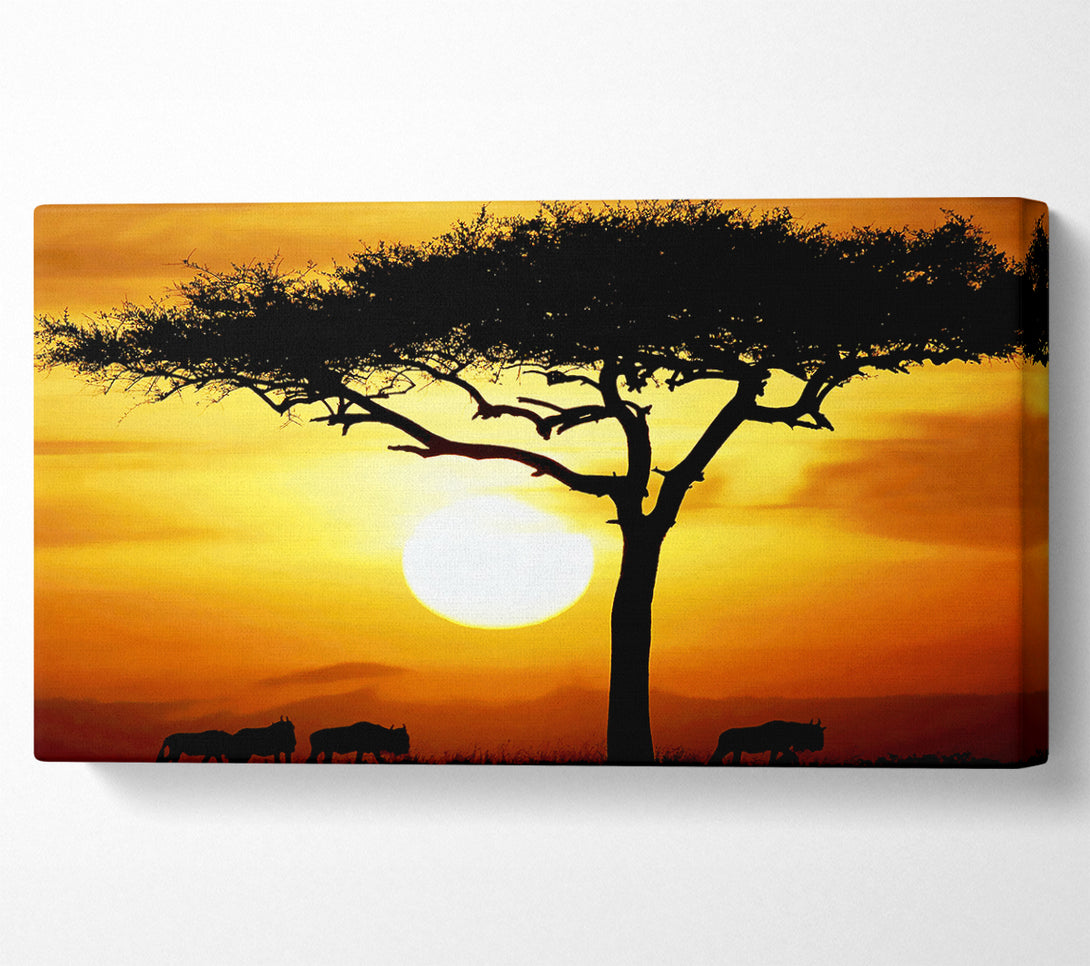  A Canvas Print of African Safari Tree In Sunlight Canvas Print