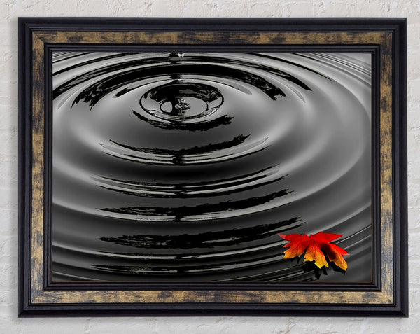 Water Ripple Red Leaf Framed Print