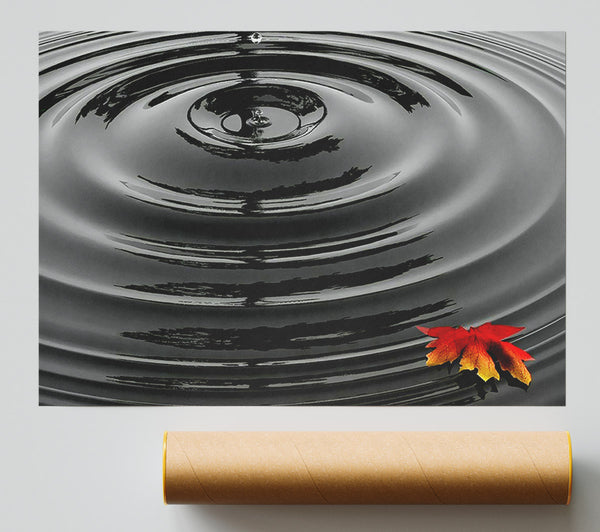 Water Ripple Red Leaf Giclee Print