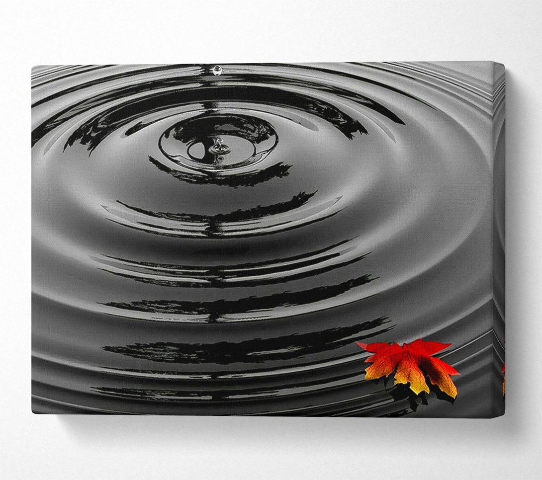  A Canvas Print of Water Ripple Red Leaf Canvas Print