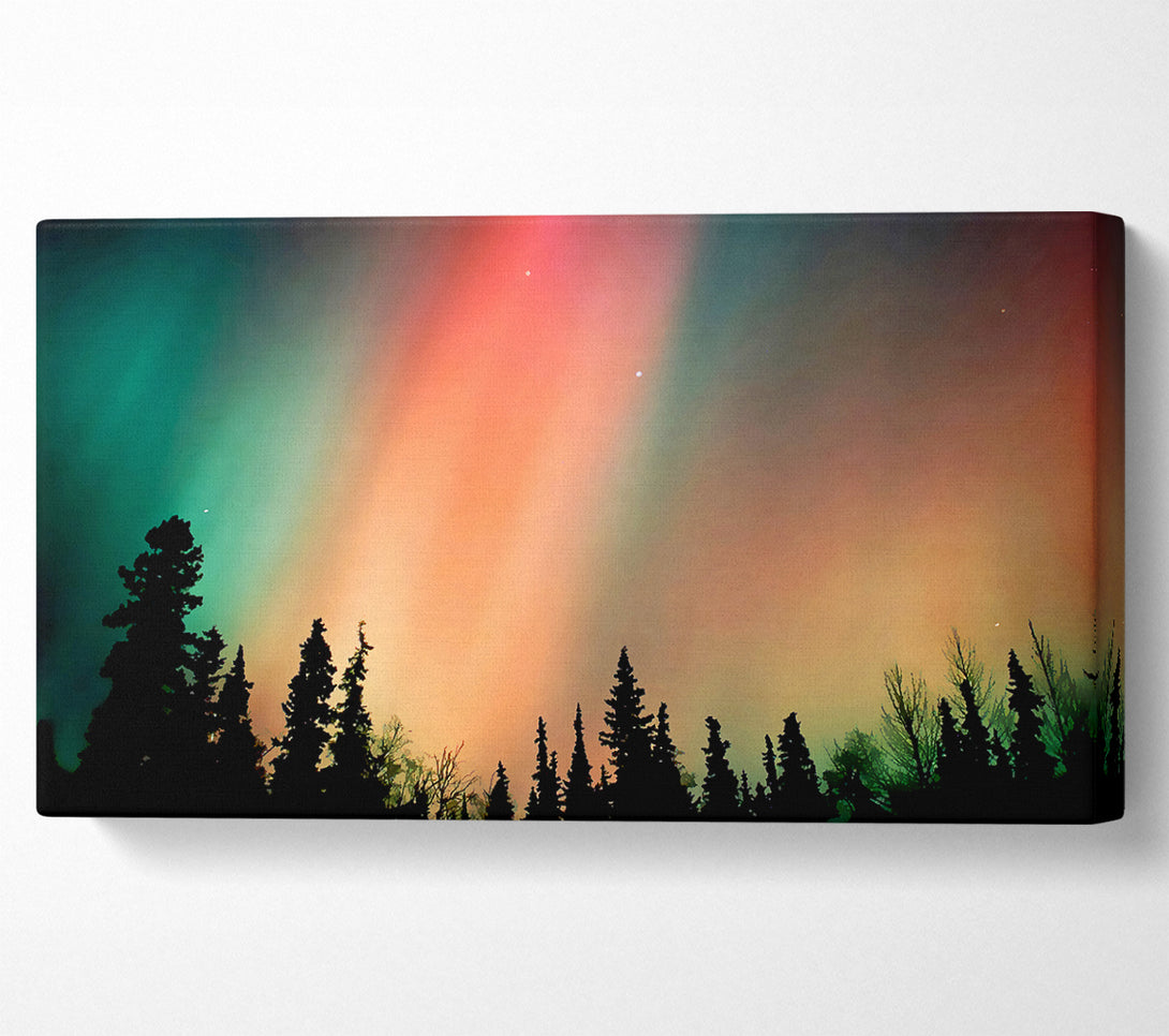  A Canvas Print of Northern Light Nights Canvas Art