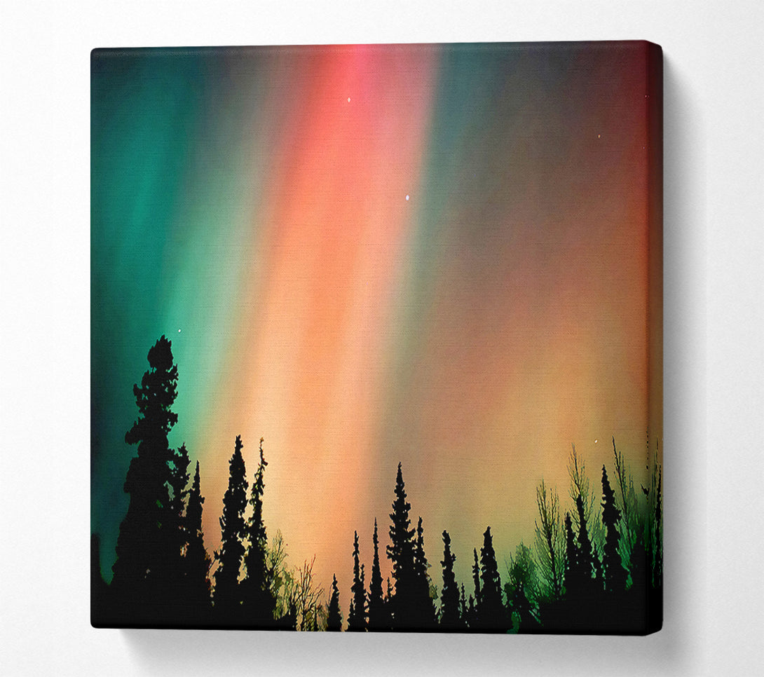  A Canvas Print of Northern Light Nights Canvas Art
