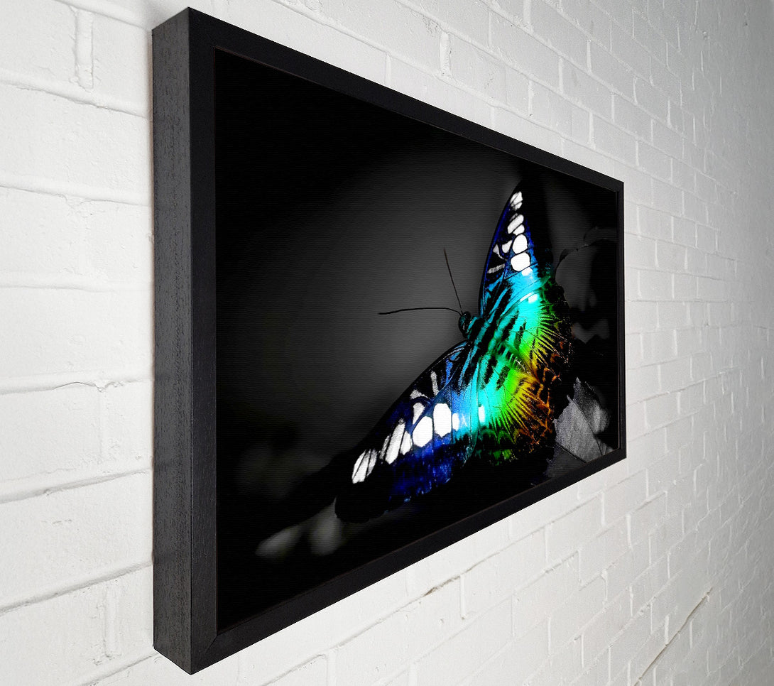  A Canvas Print of Psychedelic Butterfly 2 Canvas Wall Art