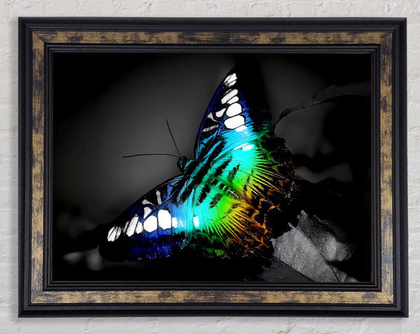 Psychedelic Butterfly 2 Framed Print