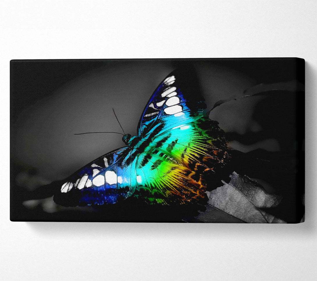  A Canvas Print of Psychedelic Butterfly 2 Canvas Wall Art