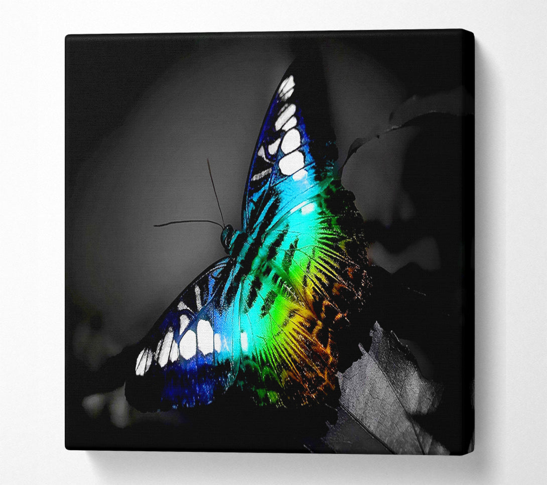  A Canvas Print of Psychedelic Butterfly 2 Canvas Wall Art