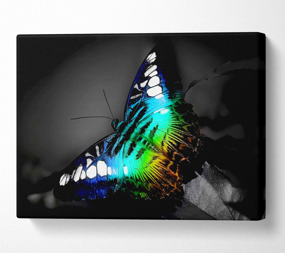  A Canvas Print of Psychedelic Butterfly 2 Canvas Wall Art