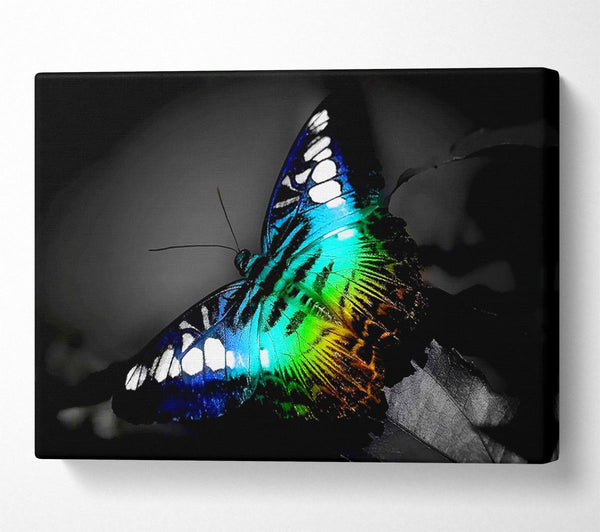  A Canvas Print of Psychedelic Butterfly 2 Canvas Wall Art