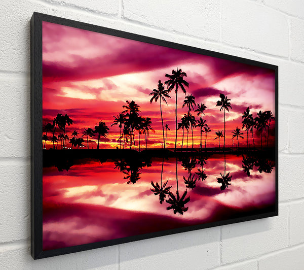 Pink Palm Tree Reflections