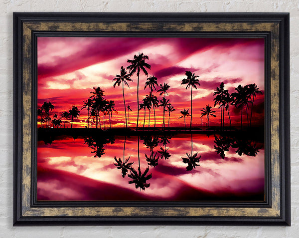 Pink Palm Tree Reflections Framed Print