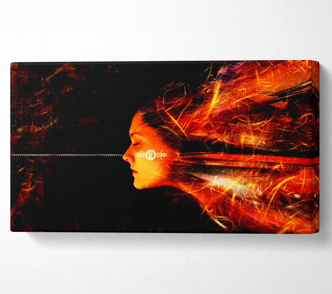  A Canvas Print of Electronic Female Canvas Art