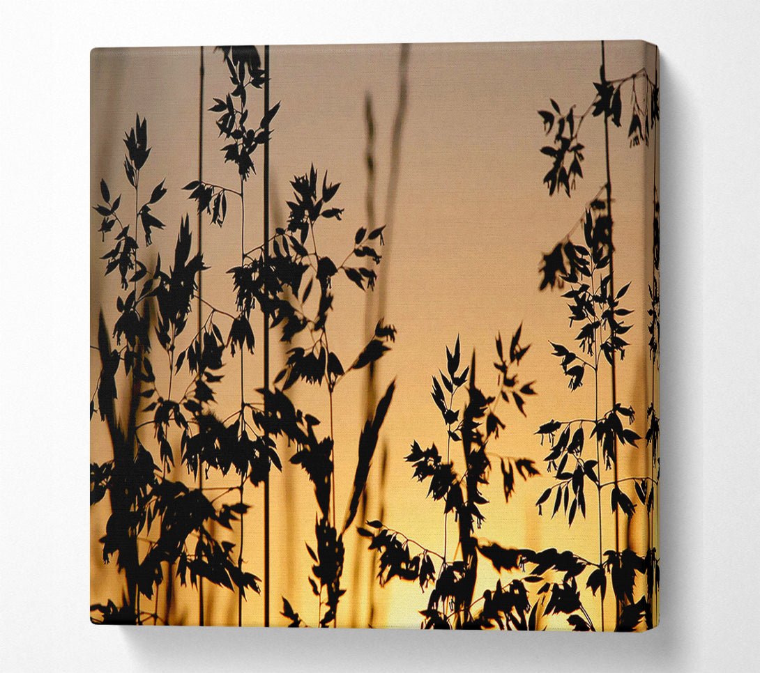  A Canvas Print of Sunlight Through The Reeds Canvas Wall Art
