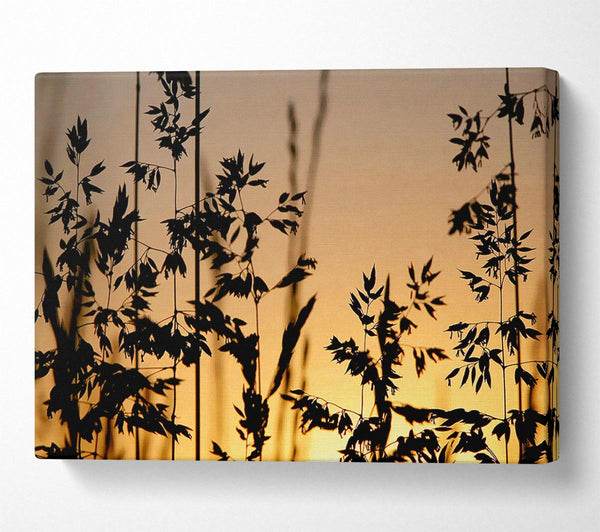  A Canvas Print of Sunlight Through The Reeds Canvas Wall Art