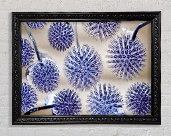 Dandelion Surprise Lilac Framed Print