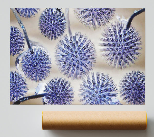 Dandelion Surprise Lilac Giclee Print