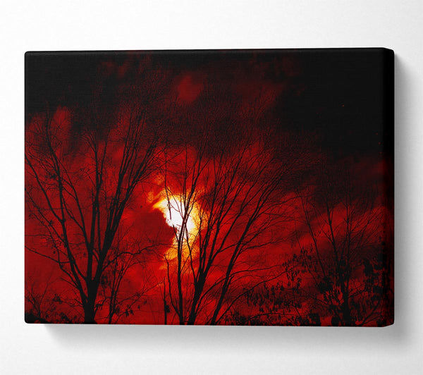  A Canvas Print of Red Moonlight Canvas Art