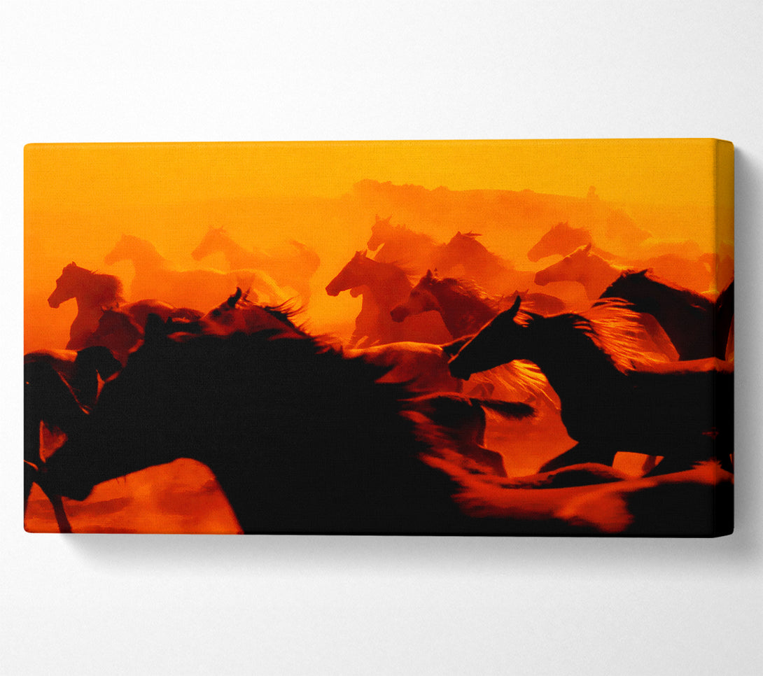  A Canvas Print of Stunning Wild Horses Canvas Print