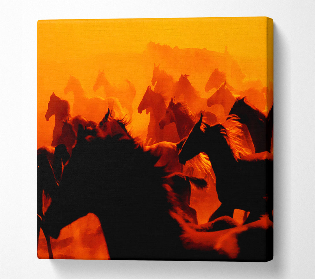  A Canvas Print of Stunning Wild Horses Canvas Print