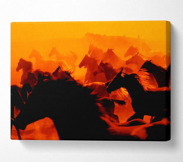  A Canvas Print of Stunning Wild Horses Canvas Print