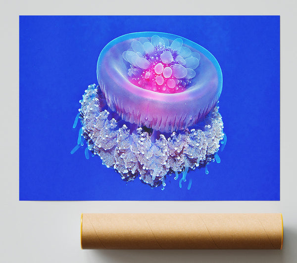 Neon Jellyfish Print