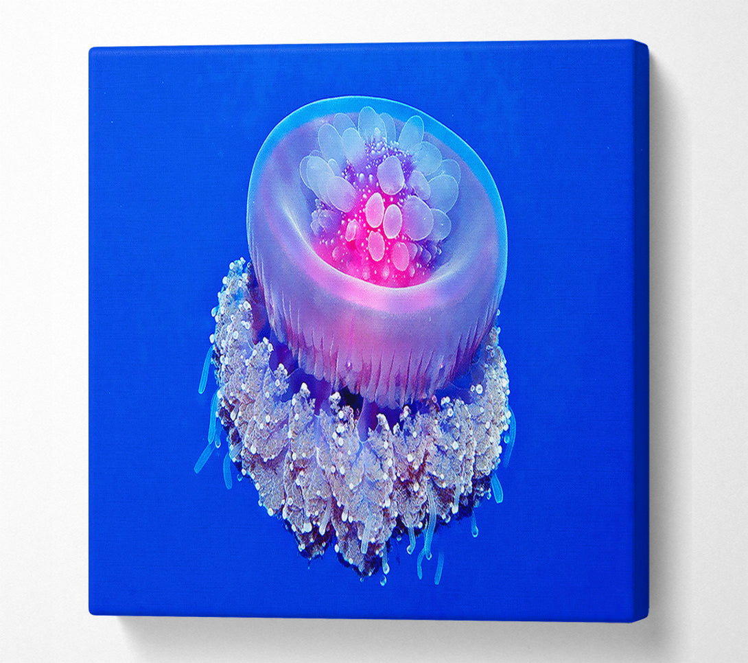  A Canvas Print of Neon Jellyfish Canvas Wall Art