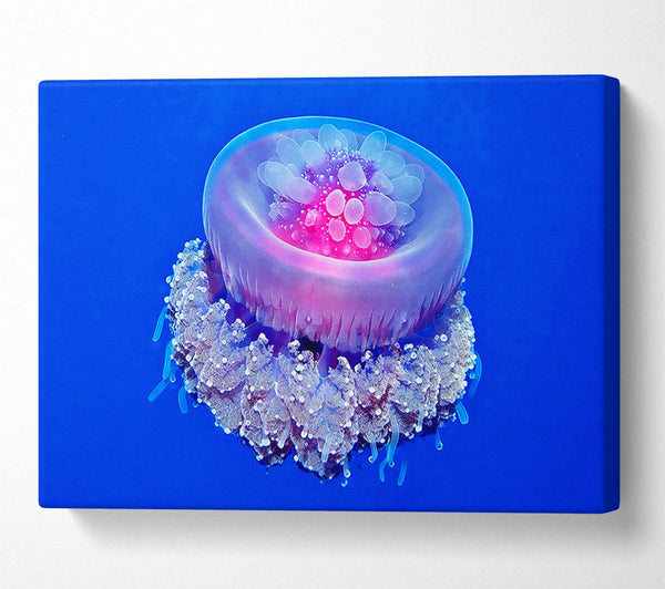  A Canvas Print of Neon Jellyfish Canvas Wall Art