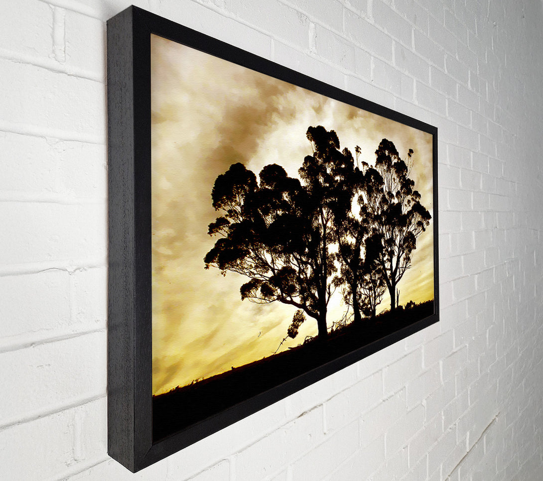  A Canvas Print of Chocolate Trees Canvas Art