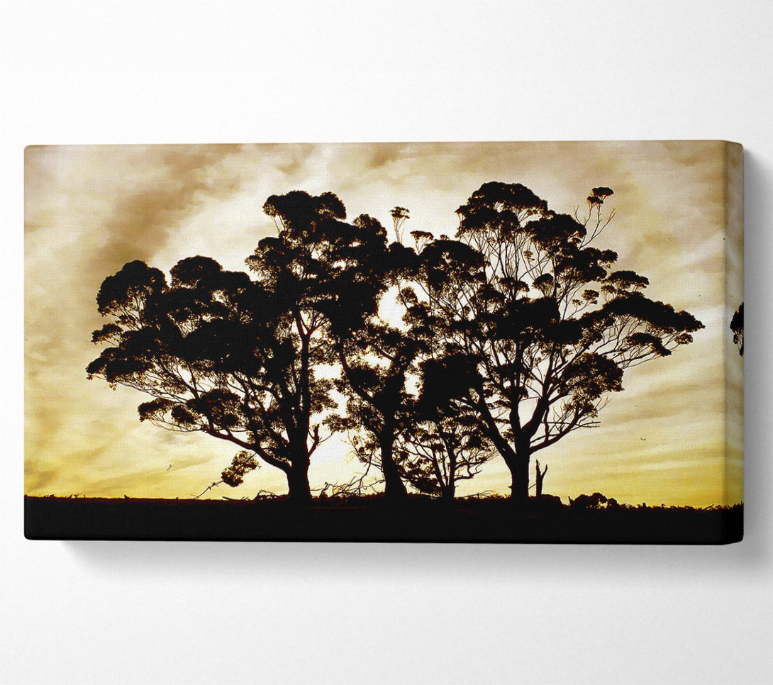  A Canvas Print of Chocolate Trees Canvas Art
