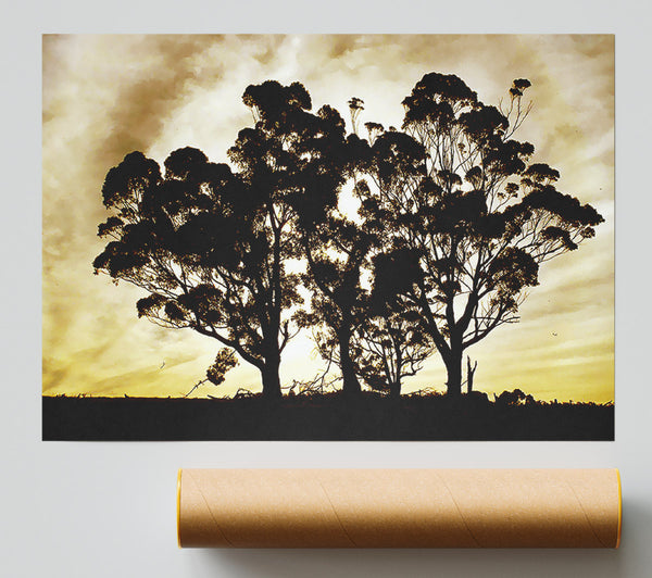 Chocolate Trees Print