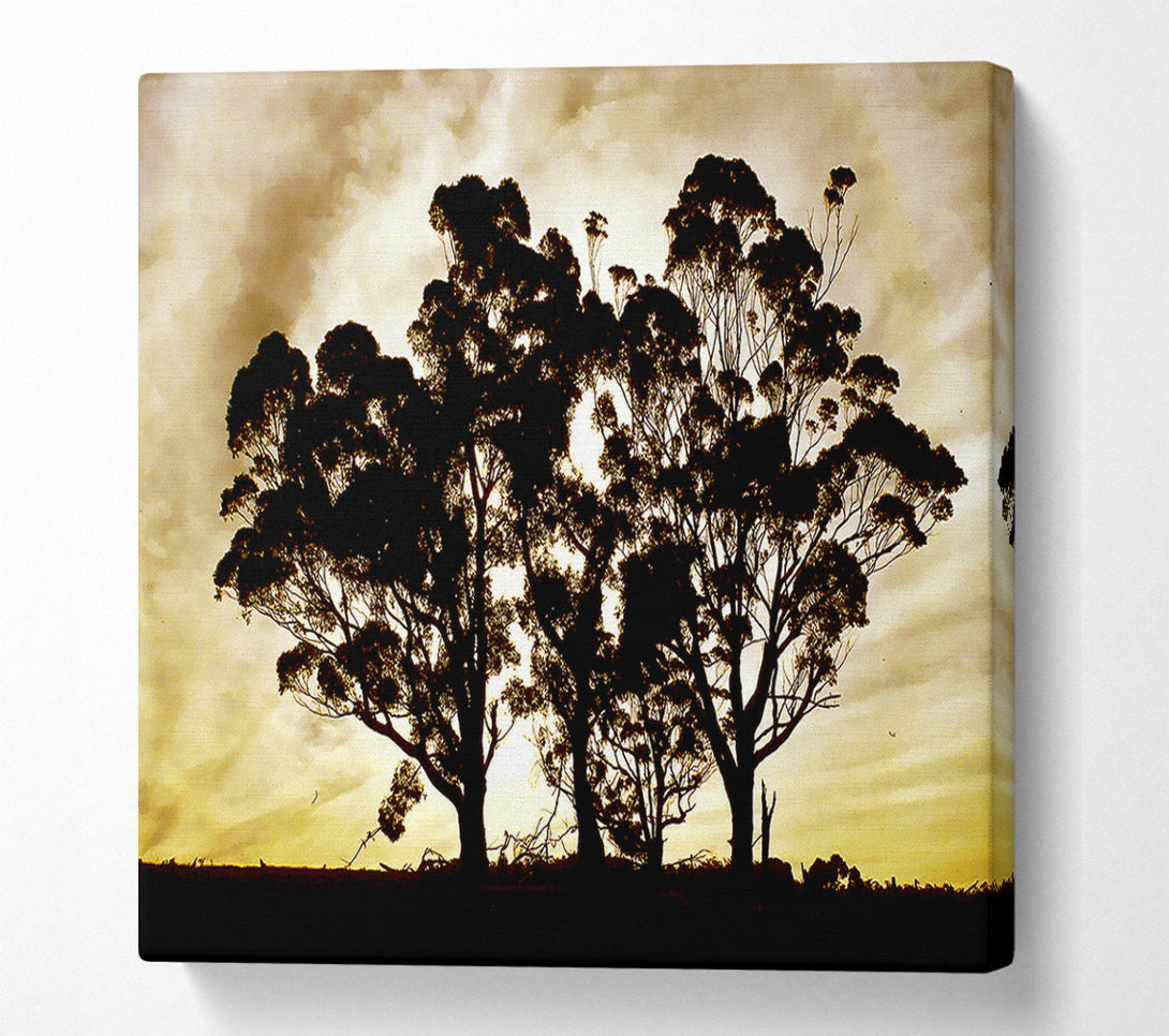 A Canvas Print of Chocolate Trees Canvas Art