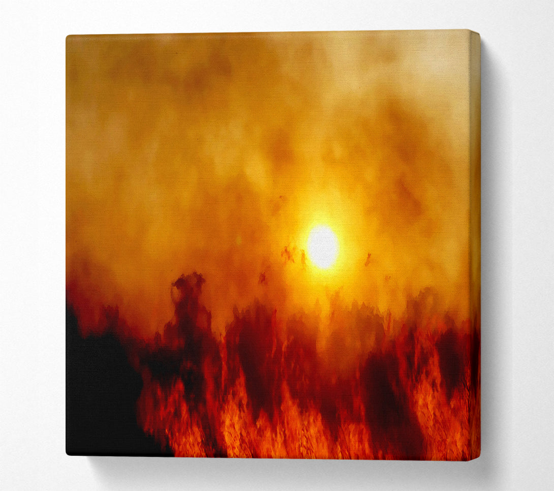  A Canvas Print of Chocolate Sky Sunlight Canvas Art
