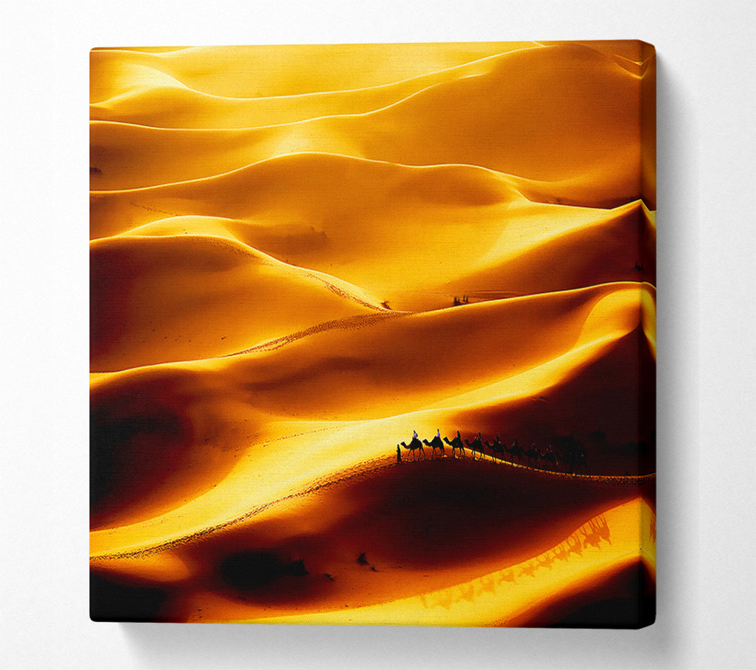  A Canvas Print of Camel Desert Canvas Art