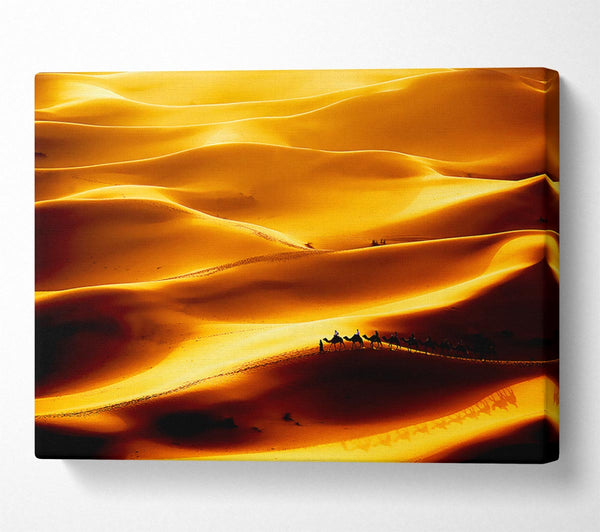  A Canvas Print of Camel Desert Canvas Art