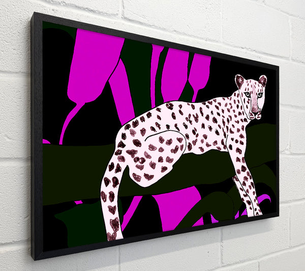 Pink Leopard Spots