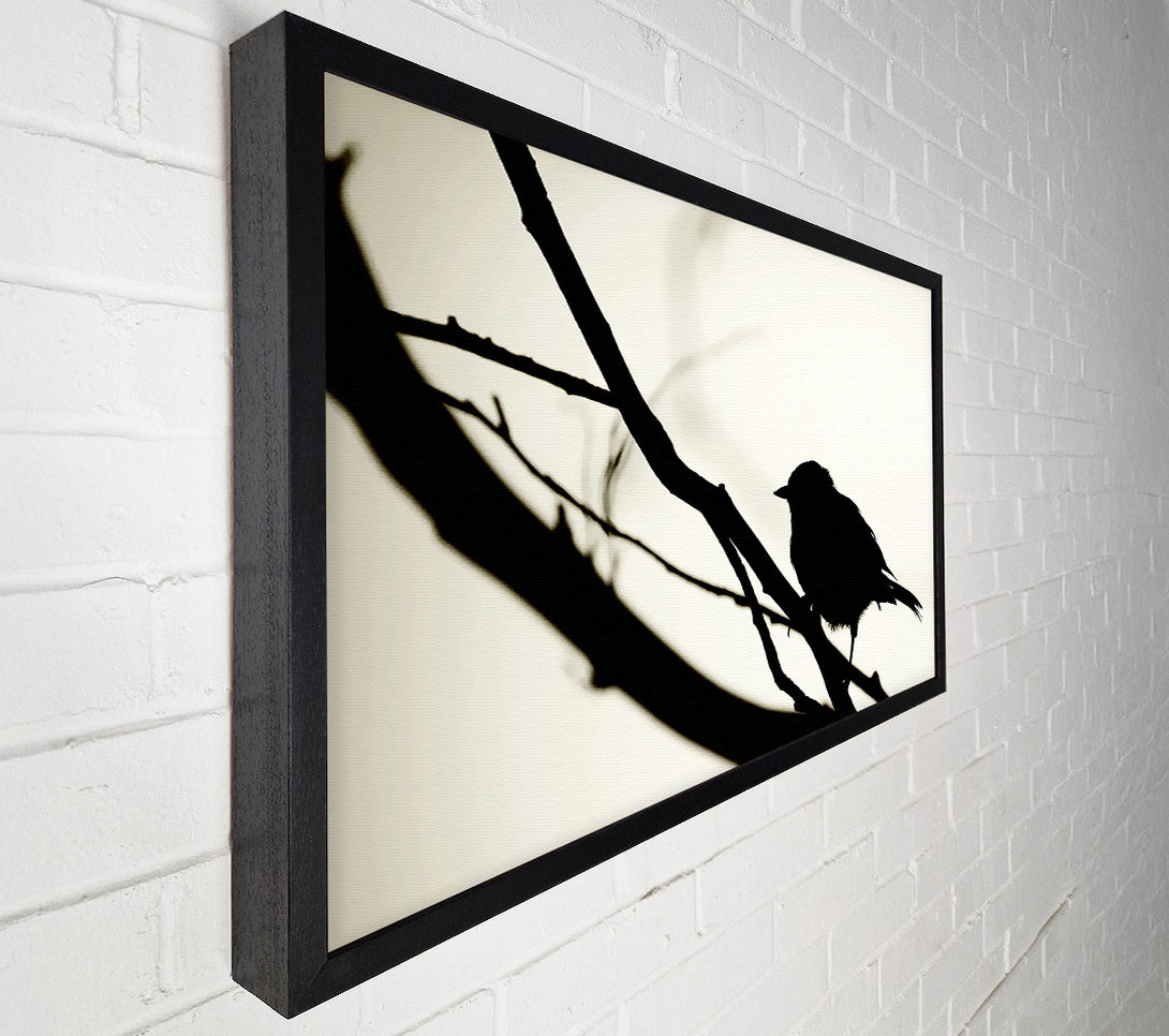  A Canvas Print of Birds Pirch Canvas Print