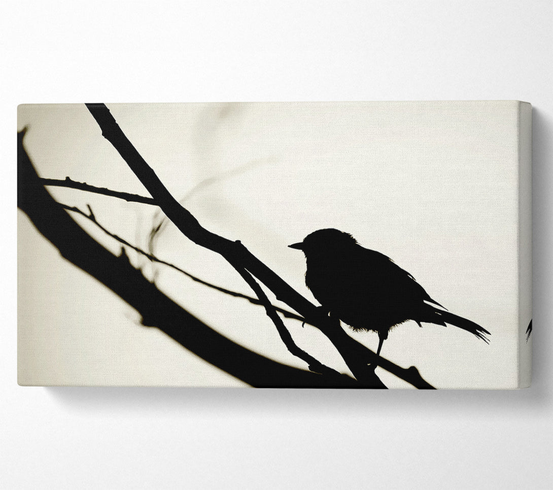  A Canvas Print of Birds Pirch Canvas Print