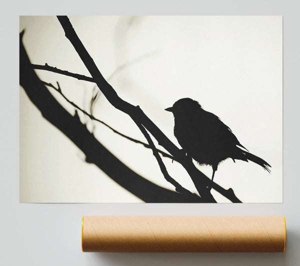 Birds Pirch Print