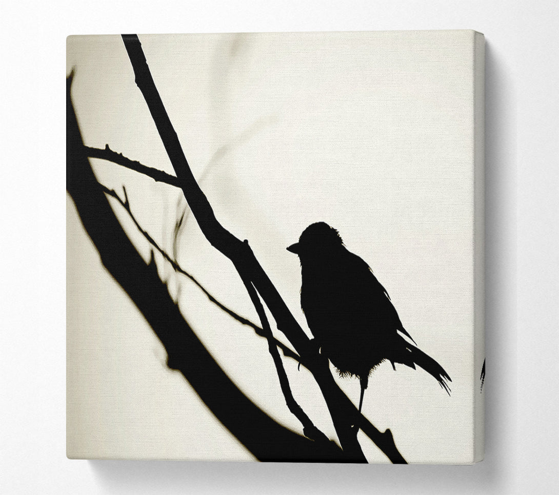 A Canvas Print of Birds Pirch Canvas Print