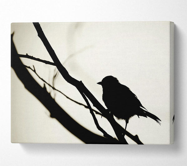  A Canvas Print of Birds Pirch Canvas Print