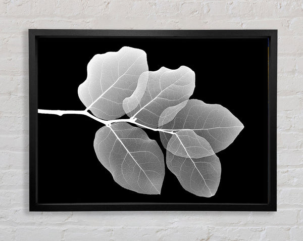 Winter Leaf Framed Print