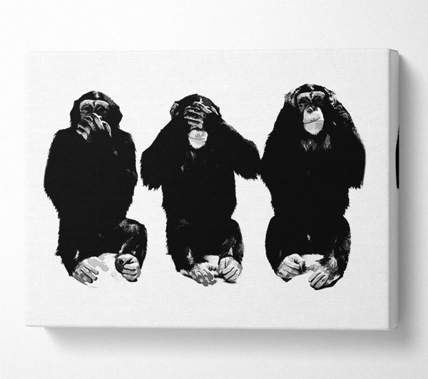  A Canvas Print of Speak No Evil See No Evil Hear No Evil Canvas Art