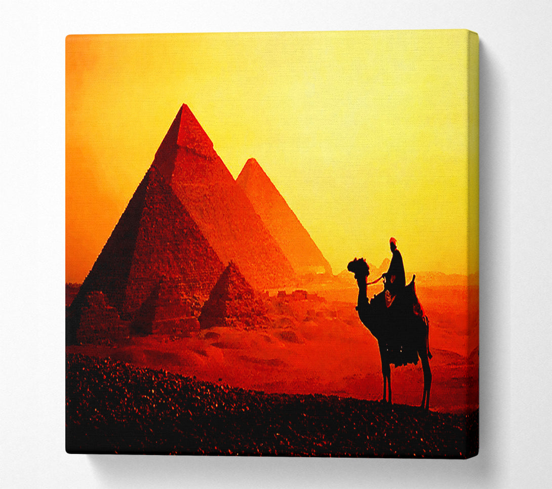  A Canvas Print of Camel Pyramid Ride Canvas Wall Art
