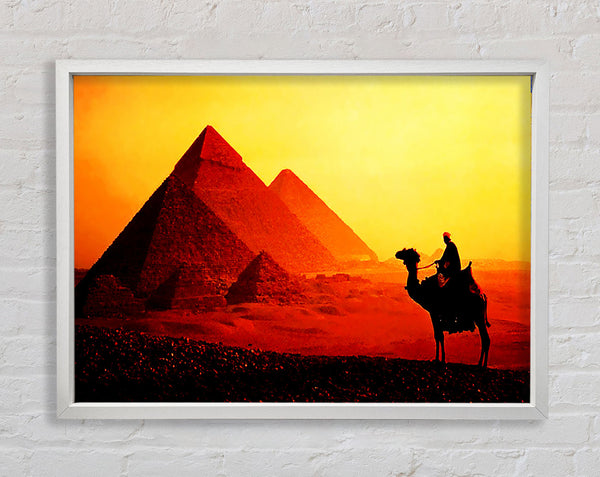 Camel Pyramid Ride Framed Print